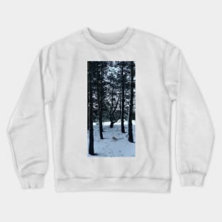 Terra Cont'd Crewneck Sweatshirt